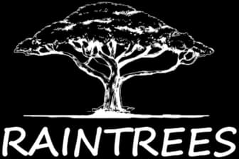 Rain logo