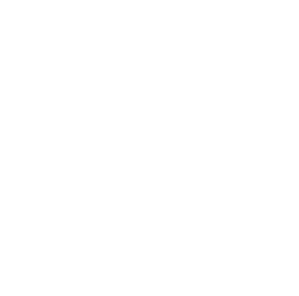 Star brand logo