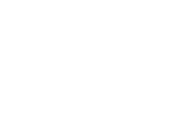 Vinyl Wrap logo